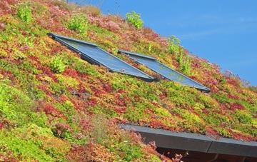 Sunnylaw living roof systems