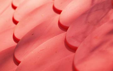 Sunnylaw plastic roof costs