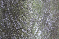 Sunnylaw fibreglass roof work